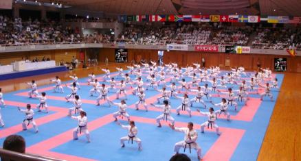 Competition Interlocking Safety Mats Karate Equipment