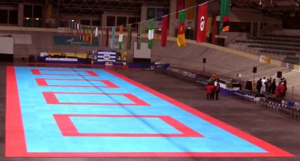 Competition Interlocking Safety Mats Karate Equipment